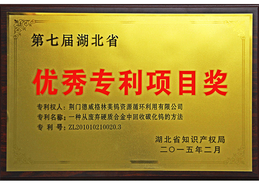 27.湖北优秀专利项目奖.png